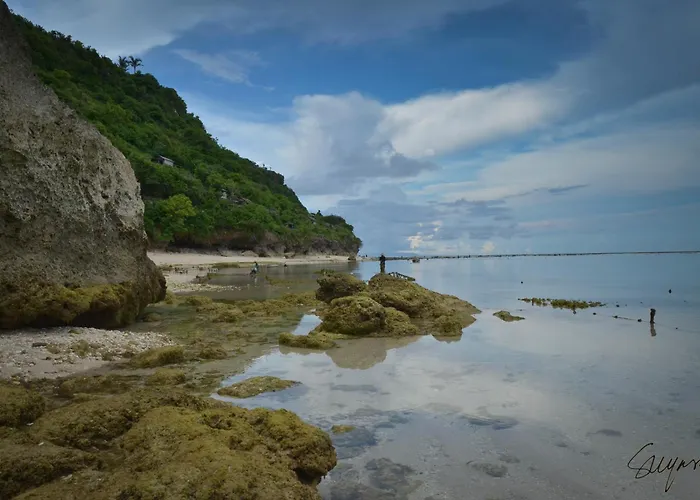 The Bamboo Bali